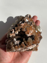 Load image into Gallery viewer, Green & Red Apophyllite Natural Cluster AP342