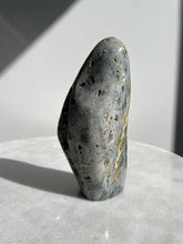 Load image into Gallery viewer, Large Ocean Jasper Free Form OJ505