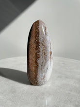 Load image into Gallery viewer, Large Ocean Jasper Free Form OJ511