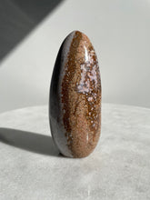 Load image into Gallery viewer, Large Ocean Jasper Free Form OJ511