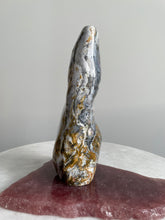 Load image into Gallery viewer, Large Ocean Jasper Free Form OJ116