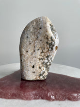 Load image into Gallery viewer, Large Ocean Jasper Free Form OJ118