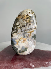 Load image into Gallery viewer, Large Ocean Jasper Free Form OJ119