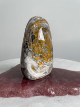Load image into Gallery viewer, Large Ocean Jasper Free Form OJ120