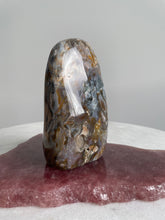 Load image into Gallery viewer, Large Ocean Jasper Free Form OJ120