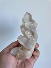 Load image into Gallery viewer, Custom Listing for Amanda AP351 & Q183