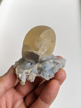 Load image into Gallery viewer, Botryoidal Fluorite Rare Crystal F006