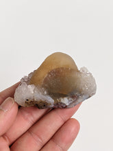 Load image into Gallery viewer, Botryoidal Fluorite Rare Crystal F019