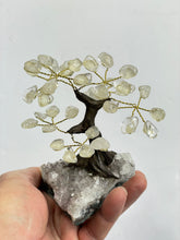 Load image into Gallery viewer, Rose Quartz Gem Tree (S) TR056