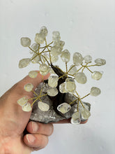 Load image into Gallery viewer, Rose Quartz Gem Tree (S) TR056