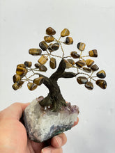 Load image into Gallery viewer, Tiger Eye Gem Tree (S) TR048