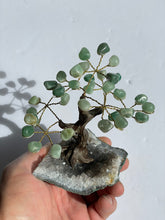 Load image into Gallery viewer, Amazonite Gem Tree (S) TR046
