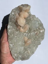 Load image into Gallery viewer, Apophyllite Crystal Cluster AP911