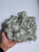 Load image into Gallery viewer, Apophyllite Crystal Cluster AP916