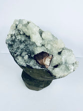 Load image into Gallery viewer, Apophyllite Geode Free Standing Crystal Cluster AP052 A