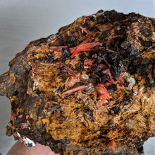 Load image into Gallery viewer, Crocoite Natural Crystal Cluster, Tasmania, Australia 120x85mm - Crystal King Australia