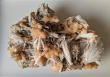 Load image into Gallery viewer, Scolecite spray with stilbite Rare Crystal/Mineral Specimen (290x210mm) 2.95kg - Crystal King Australia