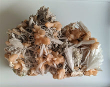 Load image into Gallery viewer, Scolecite spray with stilbite Rare Crystal/Mineral Specimen (290x210mm) 2.95kg - Crystal King Australia