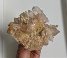 Load image into Gallery viewer, Pink Himalayan Quartz with Chlorite inclusion Cluster Natural Crystal /Mineral 165x125mm - Crystal King Australia
