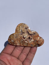 Load image into Gallery viewer, Pink Crazy Lace Agate Cloud AG150