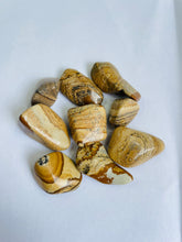 Load image into Gallery viewer, Picture Jasper Tumbled Stones TB059 x 1