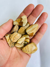 Load image into Gallery viewer, Picture Jasper Tumbled Stones TB059 x 1