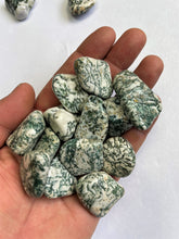 Load image into Gallery viewer, Tree Agate Tumbled Stones TB073 x 1
