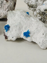 Load image into Gallery viewer, Cavansite on Matrix CA002 x 1
