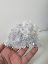 Load image into Gallery viewer, Apophyllite Natural Cluster AP795a
