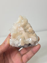 Load image into Gallery viewer, Apophyllite Natural Cluster AP800a
