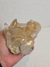 Load image into Gallery viewer, Golden Himalayan Quartz High-Grade Natural Cluster Q442a
