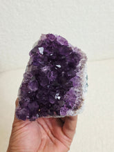 Load image into Gallery viewer, Amethyst High-Grade Brazil Natural Crystal Cluster A559
