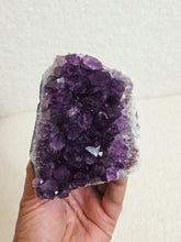 Load image into Gallery viewer, Amethyst High-Grade Brazil Natural Crystal Cluster A559
