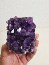 Load image into Gallery viewer, Amethyst High-Grade Brazil Natural Crystal Cluster A560
