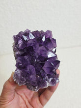 Load image into Gallery viewer, Amethyst High-Grade Brazil Natural Crystal Cluster A560
