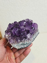 Load image into Gallery viewer, Amethyst High-Grade Brazil Natural Crystal Cluster A560
