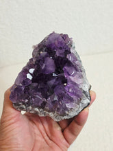 Load image into Gallery viewer, Amethyst High-Grade Brazil Natural Crystal Cluster A561
