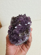 Load image into Gallery viewer, Amethyst High-Grade Brazil Natural Crystal Cluster A564
