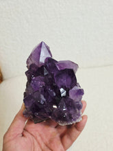 Load image into Gallery viewer, Amethyst High-Grade Brazil Natural Crystal Cluster A566
