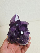 Load image into Gallery viewer, Amethyst High-Grade Brazil Natural Crystal Cluster A566
