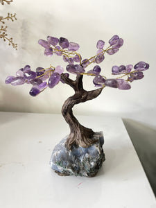 Amethyst Gem Tree/Crystal Tree (M) 12 braches, 60 Crystals TR060