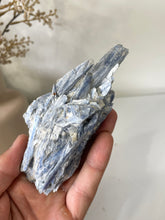 Load image into Gallery viewer, Blue Kyanite Raw/Natural Crystal RC020
