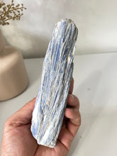 Load image into Gallery viewer, Blue Kyanite Raw/Natural Crystal RC017
