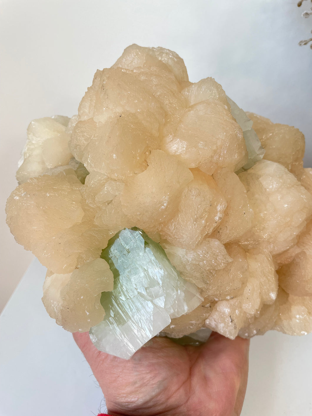 Apophyllite Natural Cluster AP610a