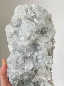 Apophyllite Natural Cluster AP718a