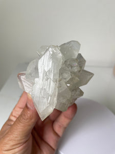 Apophyllite Natural Cluster High-Grade AP731a