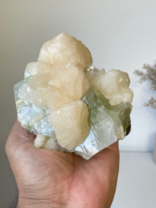 Green Apophyllite Natural Cluster AP747a