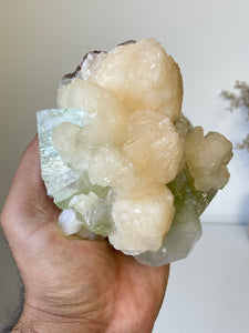 Green Apophyllite Natural Cluster AP747a