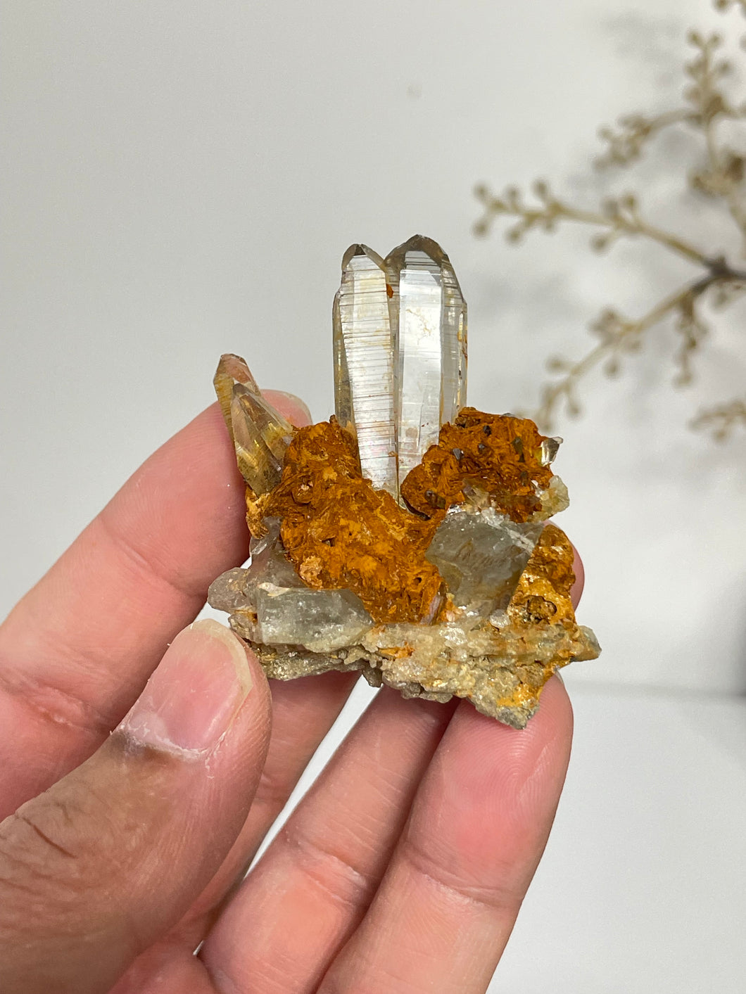 Himalayan Quartz Clusters Natural Q284a