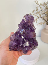 Load image into Gallery viewer, Amethyst High-Grade Natural Crystal Cluster A459
